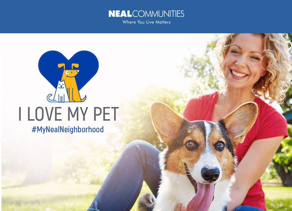 Adore Your Pet? Show the Love!
