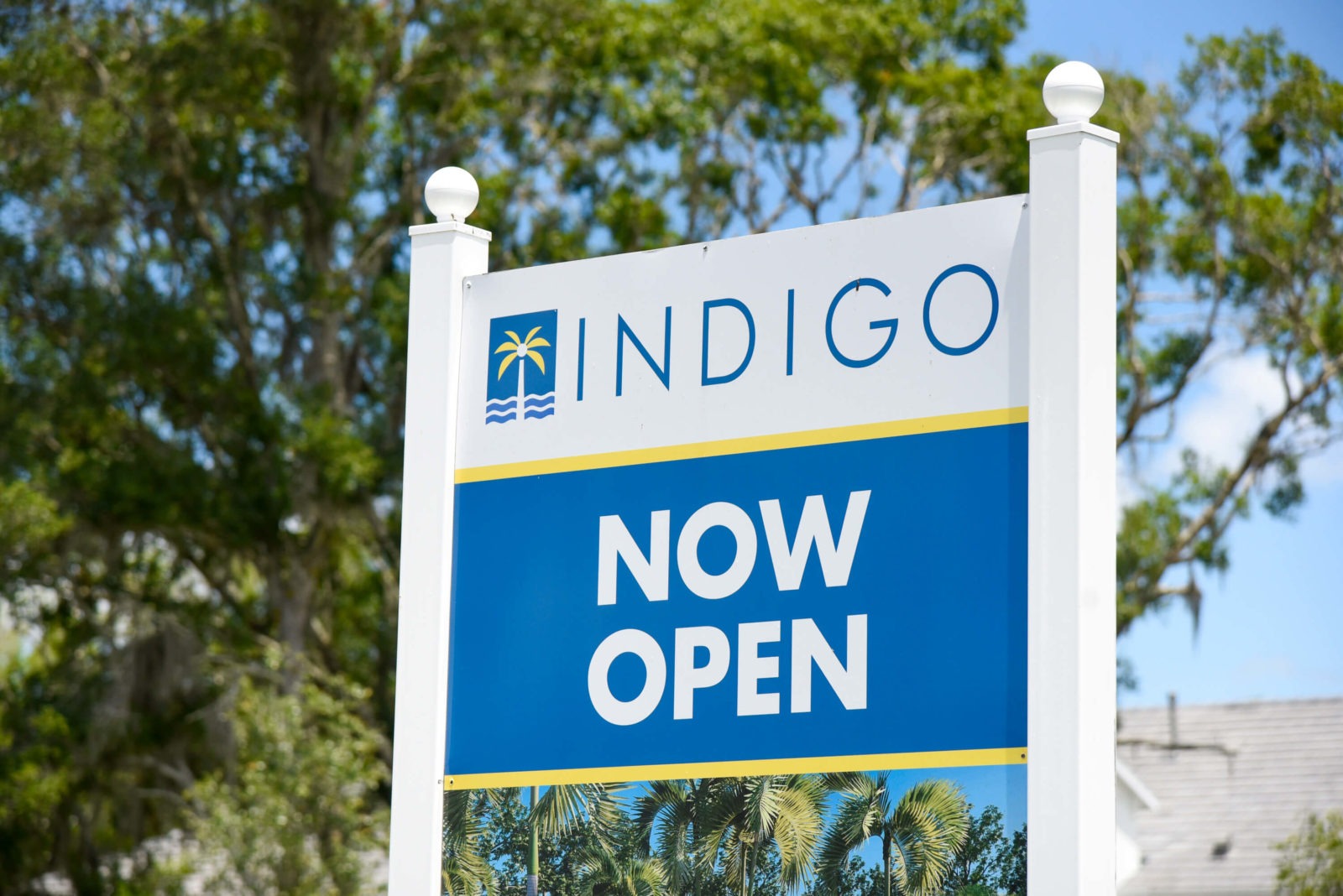 Indigo Model Home Grand Opening Event