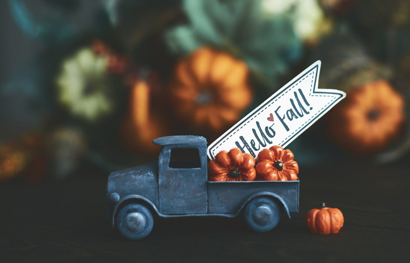 Our Top 4 Fall Interior Design Trends